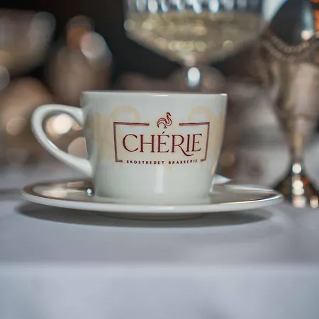 Hotel Charmante Skostredet 5*